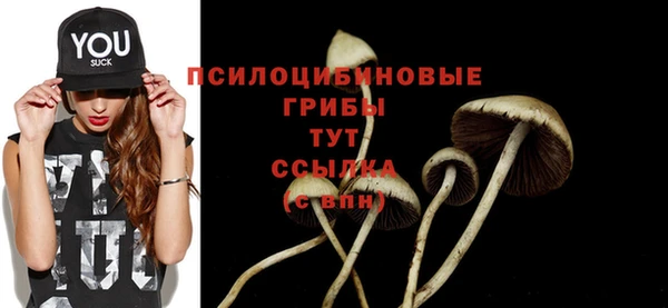 спайс Алзамай