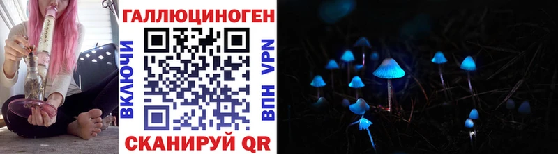 Галлюциногенные грибы Psilocybe  KRAKEN зеркало  Новосиль  цены  