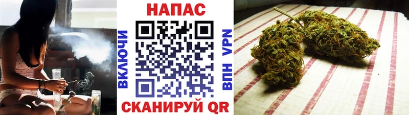 Конопля индика Новосиль